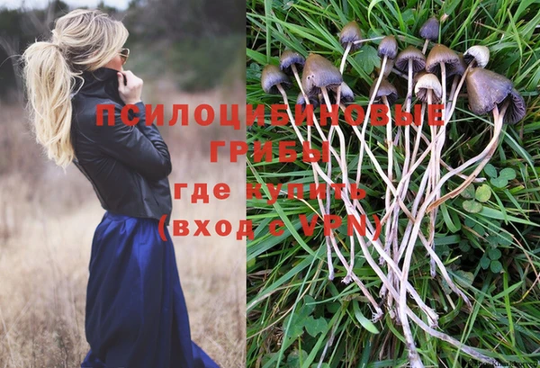 ECSTASY Надым