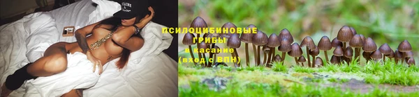 a pvp Навашино