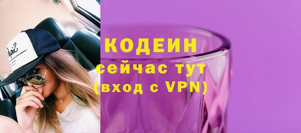 шишки Белая Холуница
