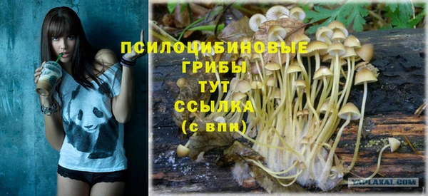 ECSTASY Надым