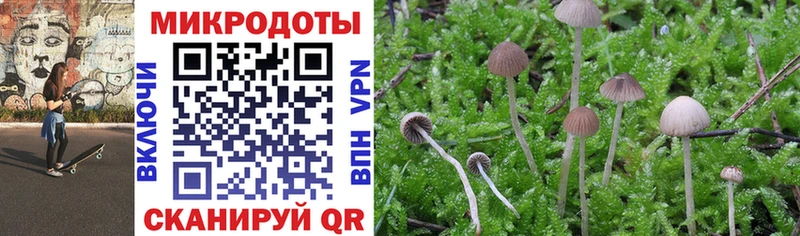 mega зеркало  нарко площадка телеграм  Псилоцибиновые грибы Psilocybine cubensis  магазин    Липецк 
